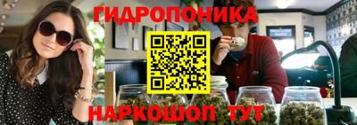 соль ск Бийск