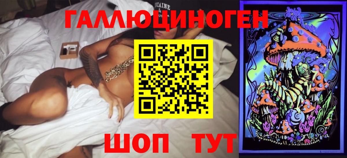 Псилоцибиновые грибы Psilocybe Таганрог