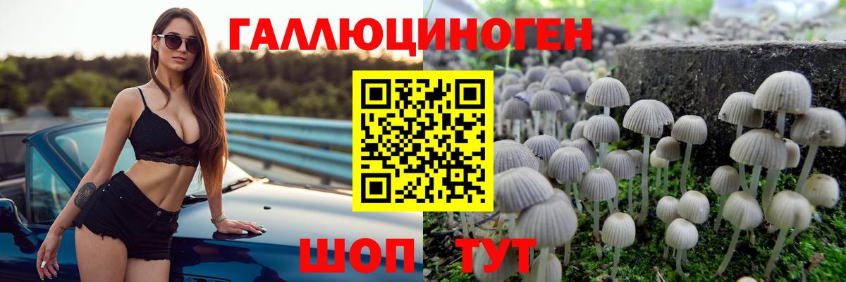 Псилоцибиновые грибы Magic Shrooms Таганрог