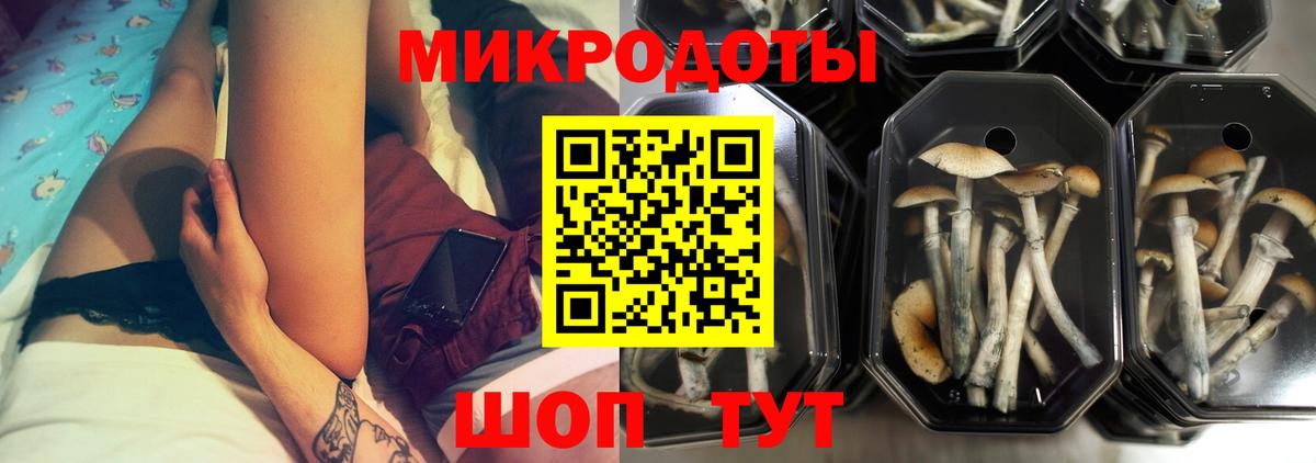 Псилоцибиновые грибы Cubensis  Таганрог  Псилоцибиновые грибы мицелий 